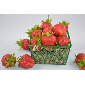 Medium Strawberries ( 1 dozen)